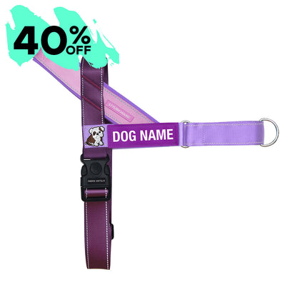 Personalised No-Pull Harness