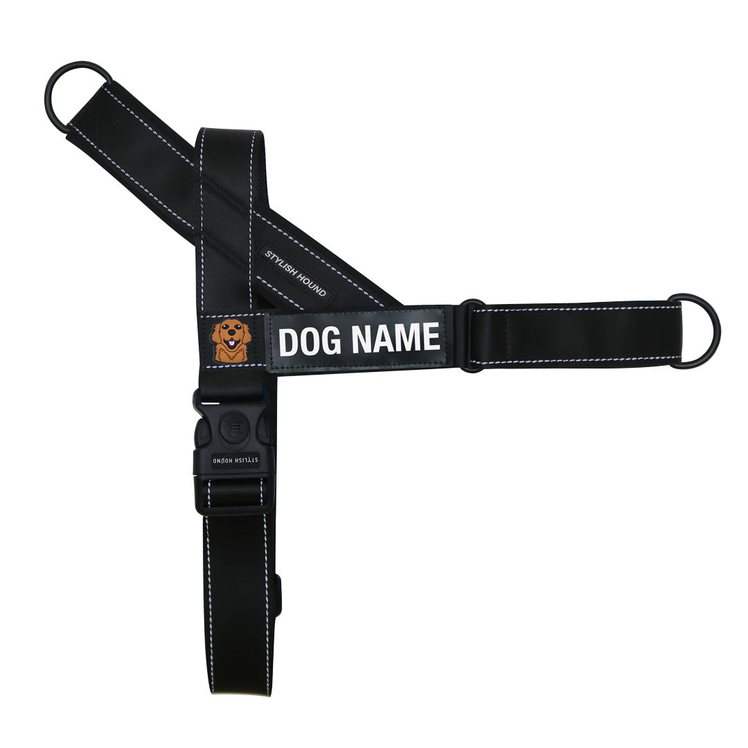 Personalised No-Pull Harness