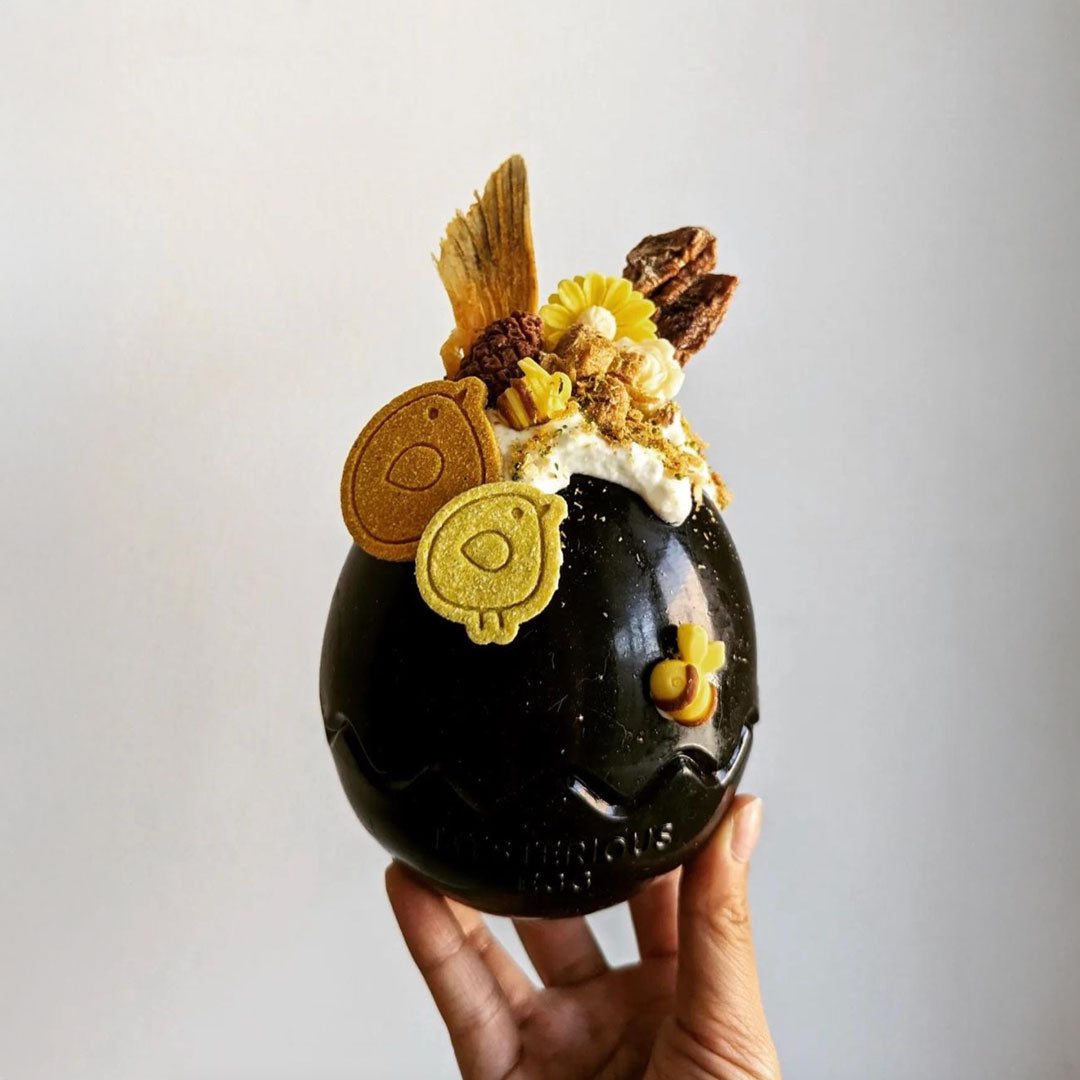 Black Egg Rubber Food Enrichment Toy