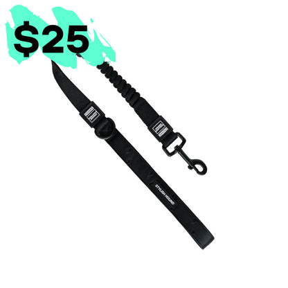 Cruise Control Obedience Leash