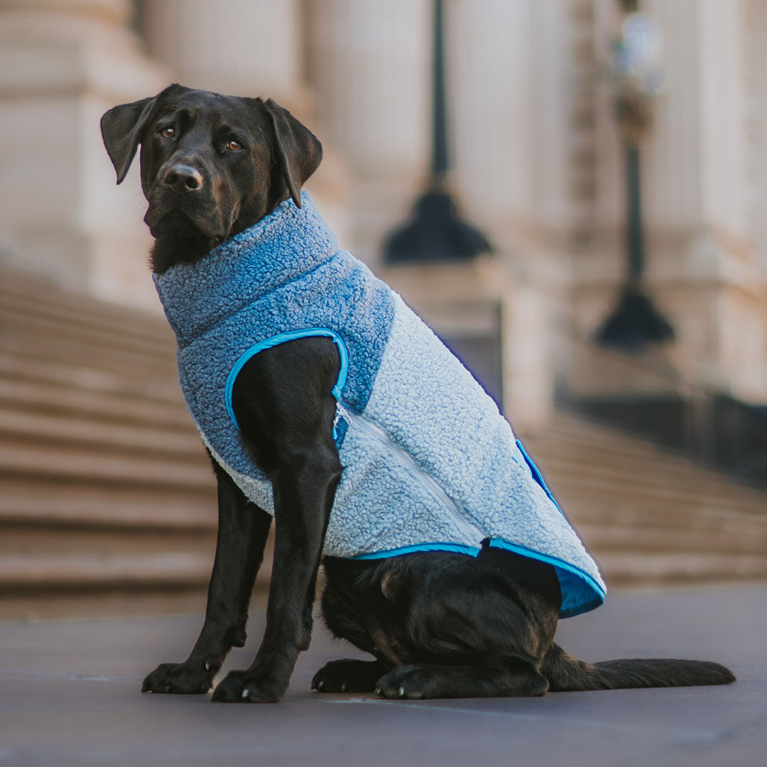 Blueberry Fleece Vest