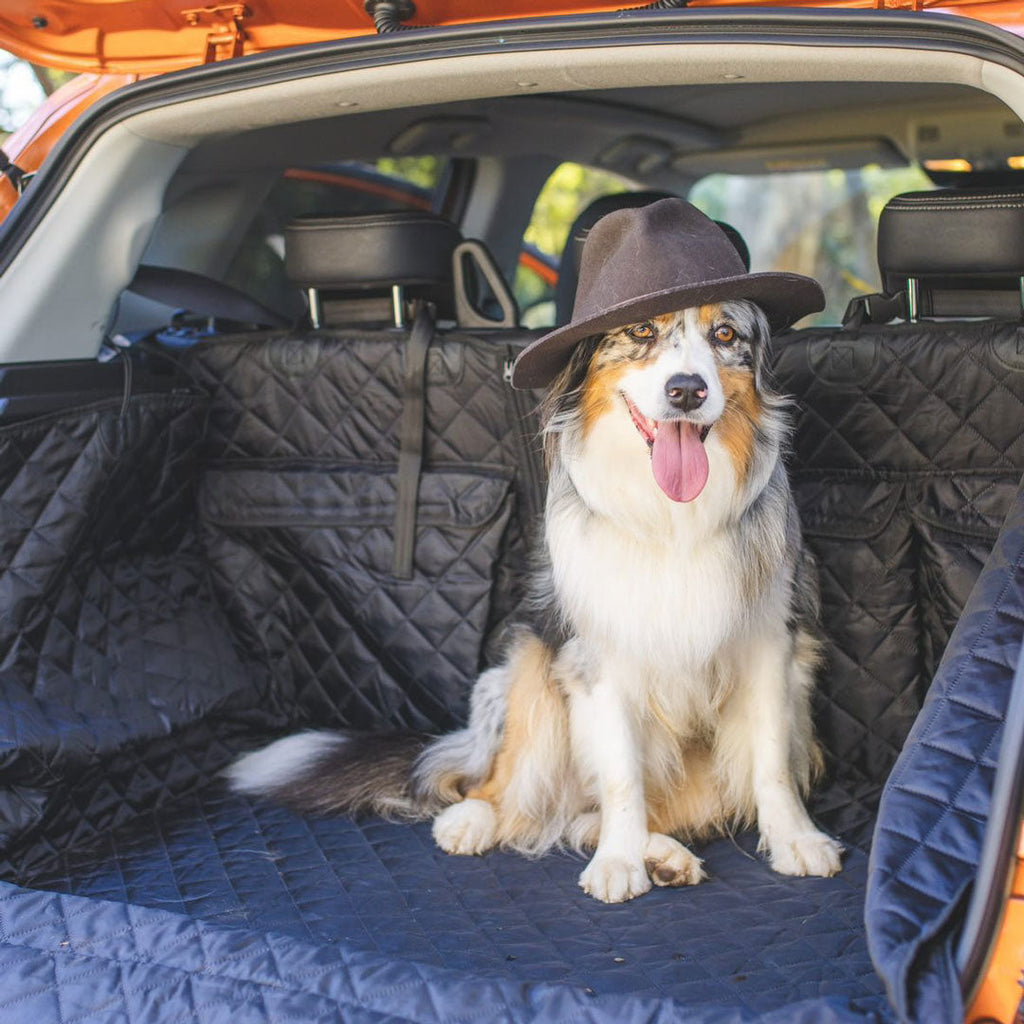 Black Car Boot Cover with Drawstring Bag