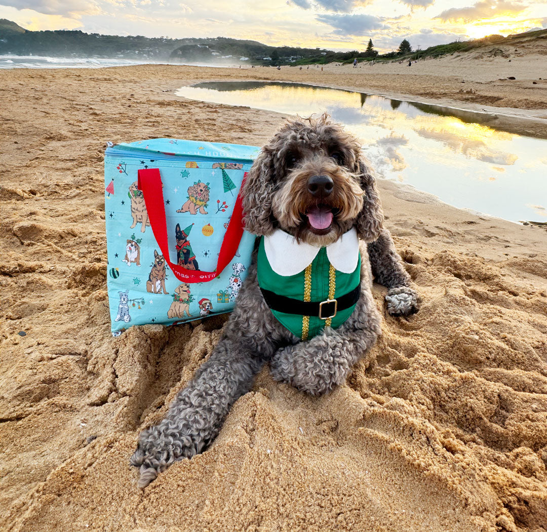 Christmas Festive Chillie Bag