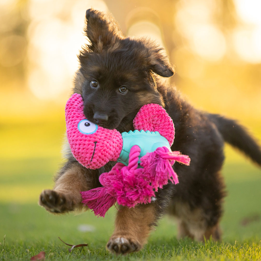 Chameleon 3-in-1 Soft + Rubber Toy Treat Dispenser