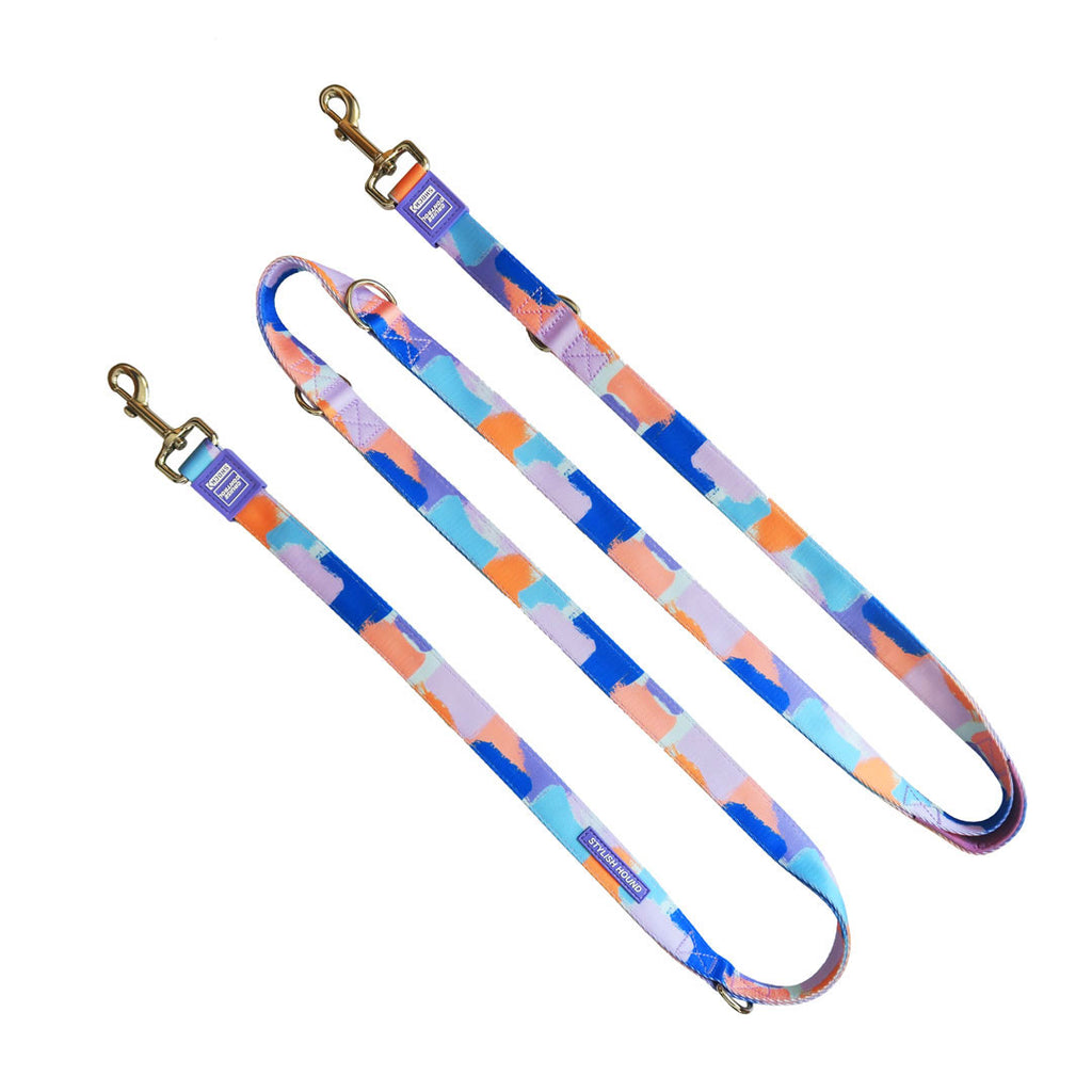 Chrome Multi-Function Leash