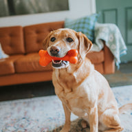 Crunch Rubber Bone Small Power Chew