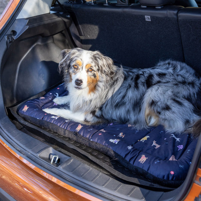 Happy Pack Dog Boot Pad