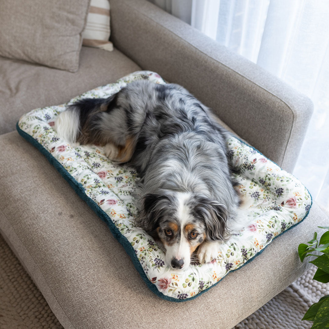 Car Boot Cover Bundle