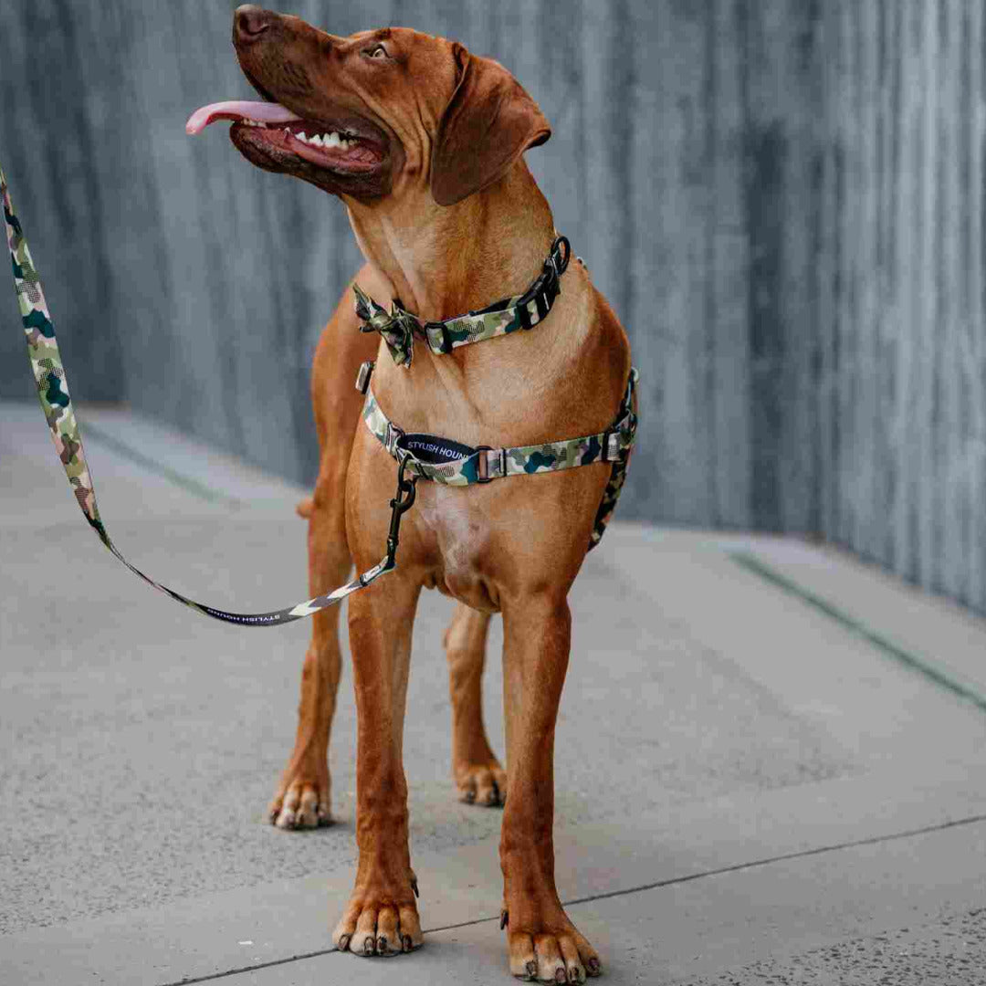 On Duty Collar - On Duty