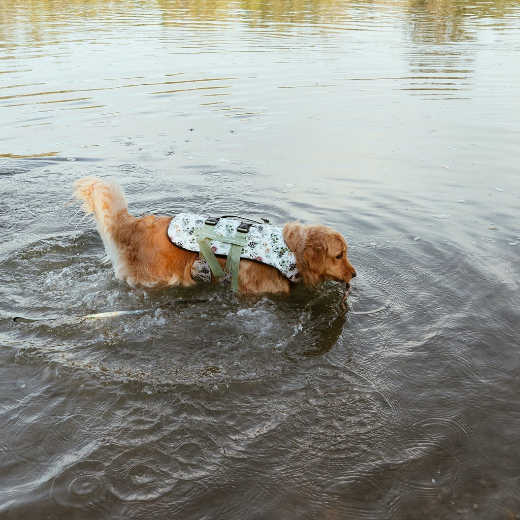 Evergreen Swim Jacket - Evergreen