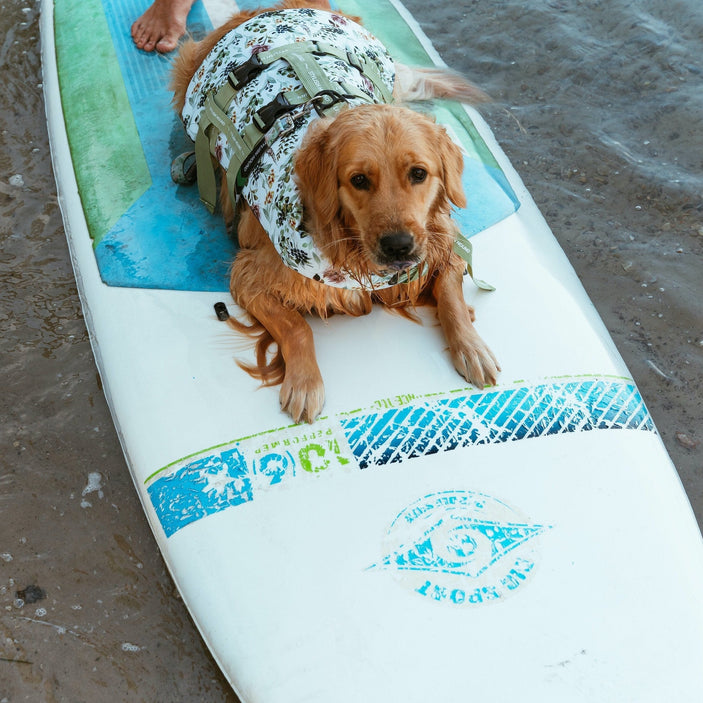 Evergreen Dog Swim Jacket