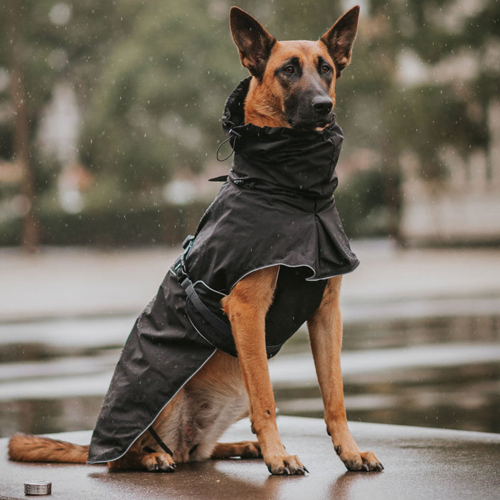 Black Raincoat