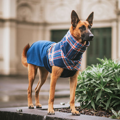 Navy Winter Coat (PRE-ORDER)