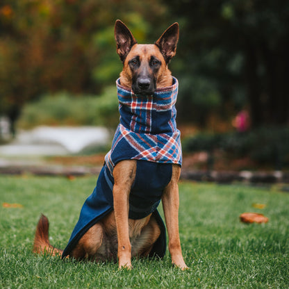 Navy Winter Coat (PRE-ORDER)