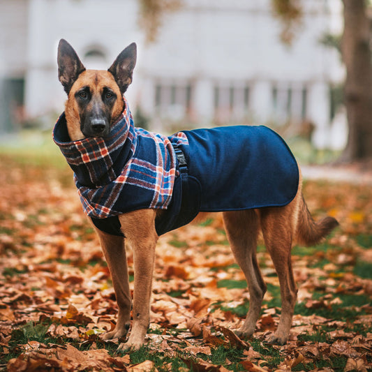 Navy Winter Coat (PRE-ORDER)