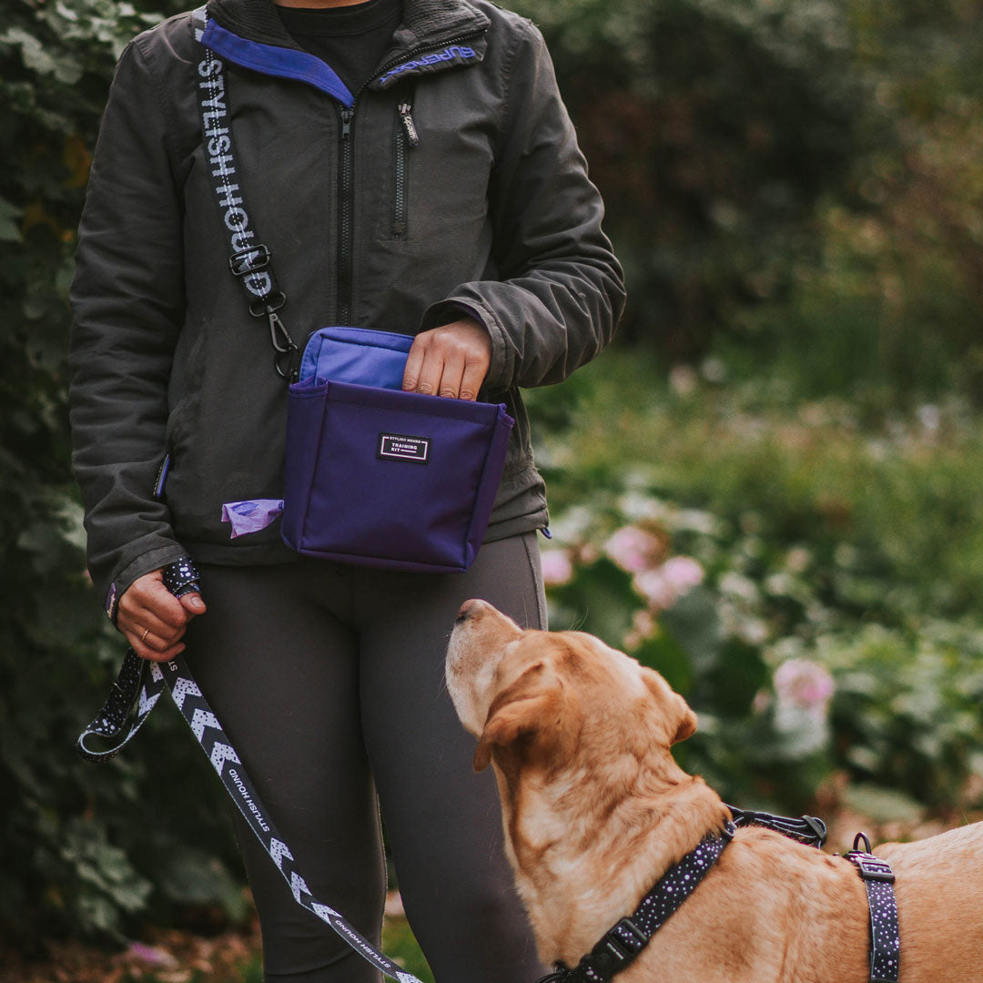 Orchid OG Treat Pouch 3.0