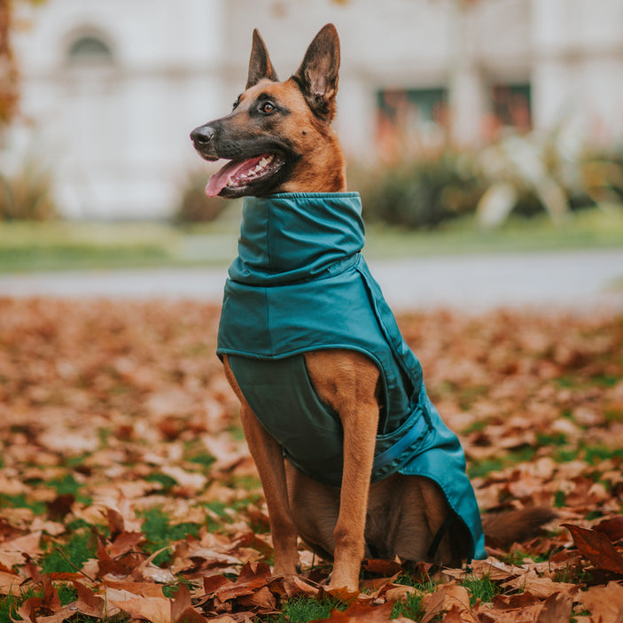 Teal Trench Coat