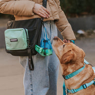 Day Tripper Bag