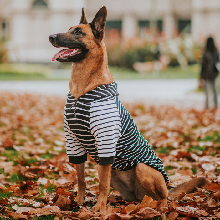 Black & White Stripe Hoodie