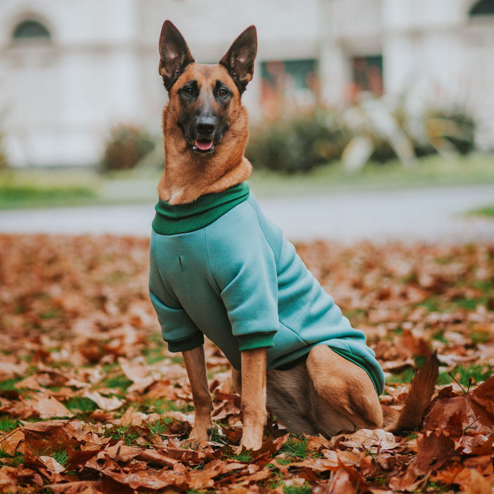 Spearmint Turtleneck Sweater