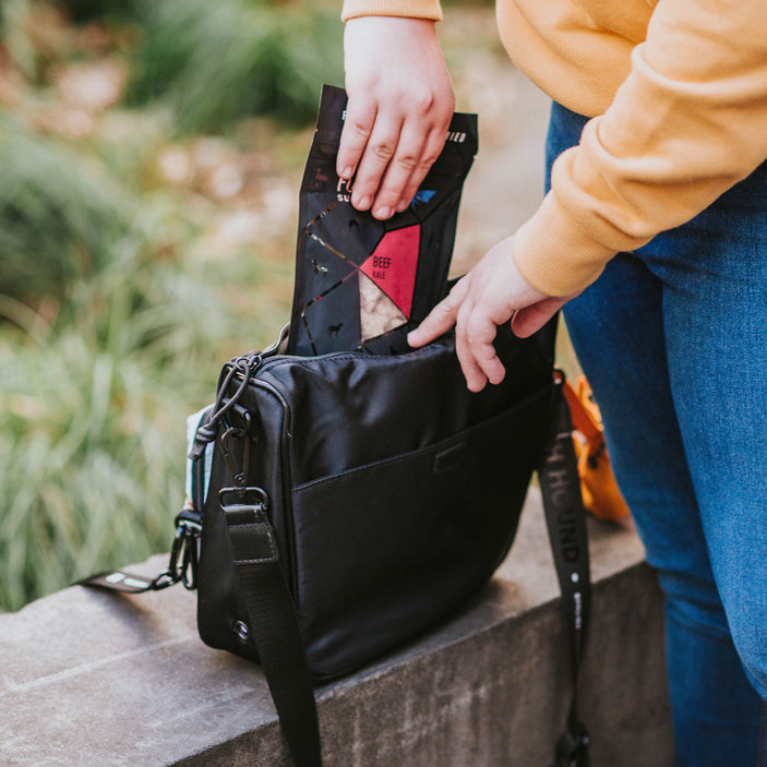 Day Tripper Bag