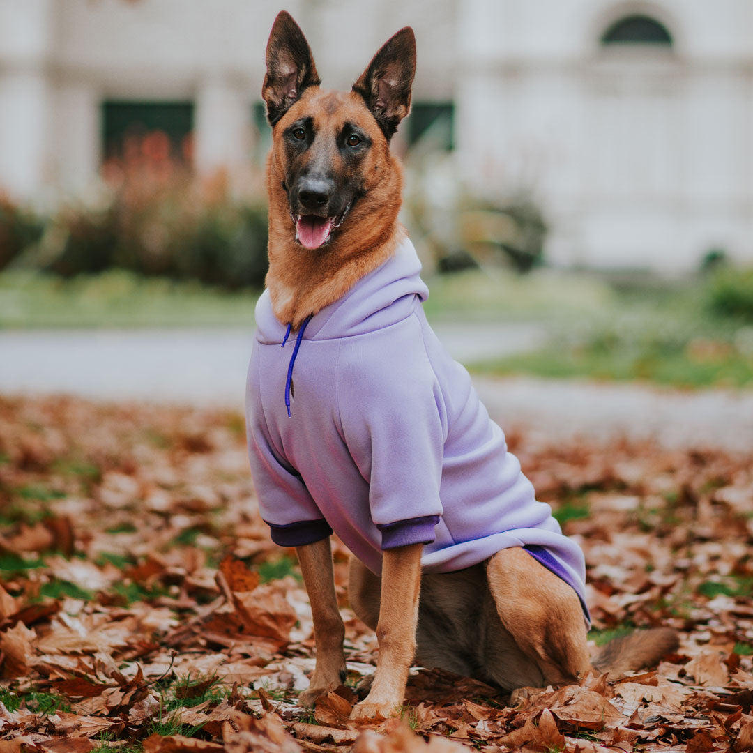 Lilac Hoodie