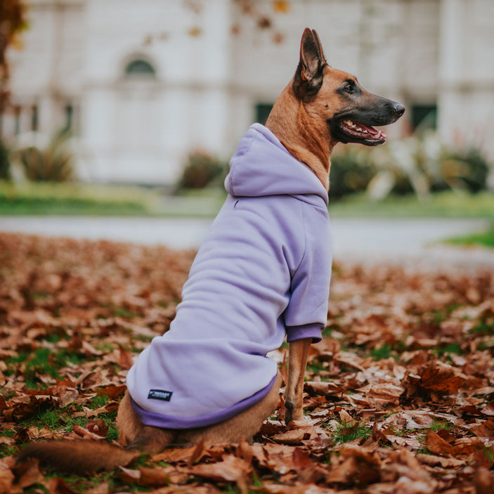 Lilac Hoodie