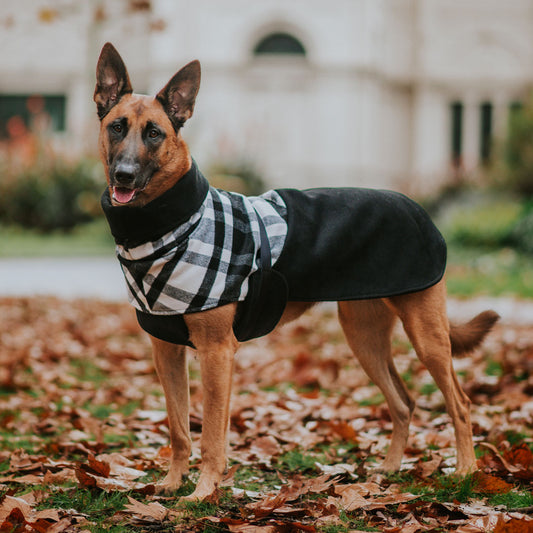 Black Jack Winter Coat (PRE-ORDER)