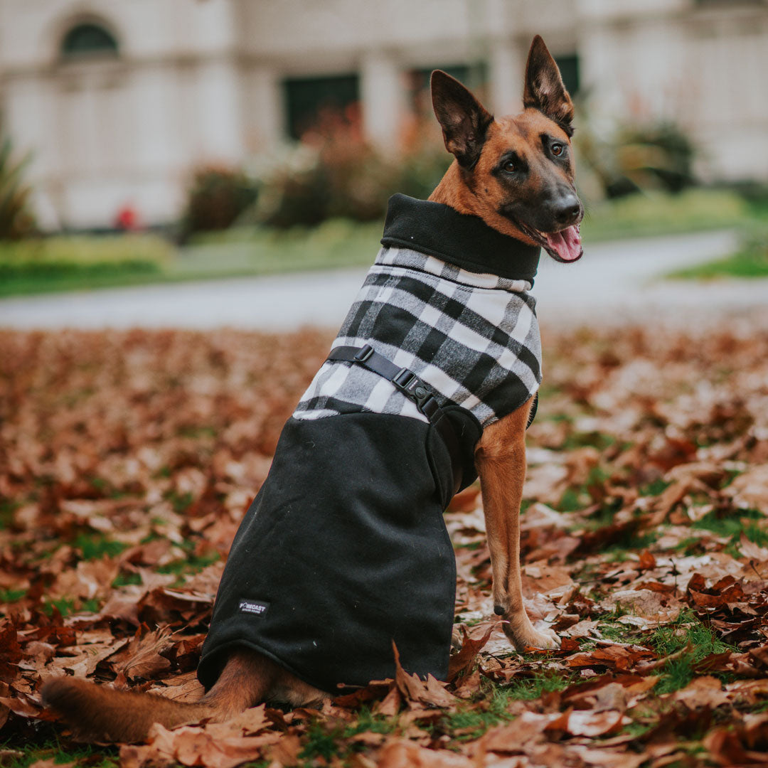 Black Jack Winter Coat (PRE-ORDER)