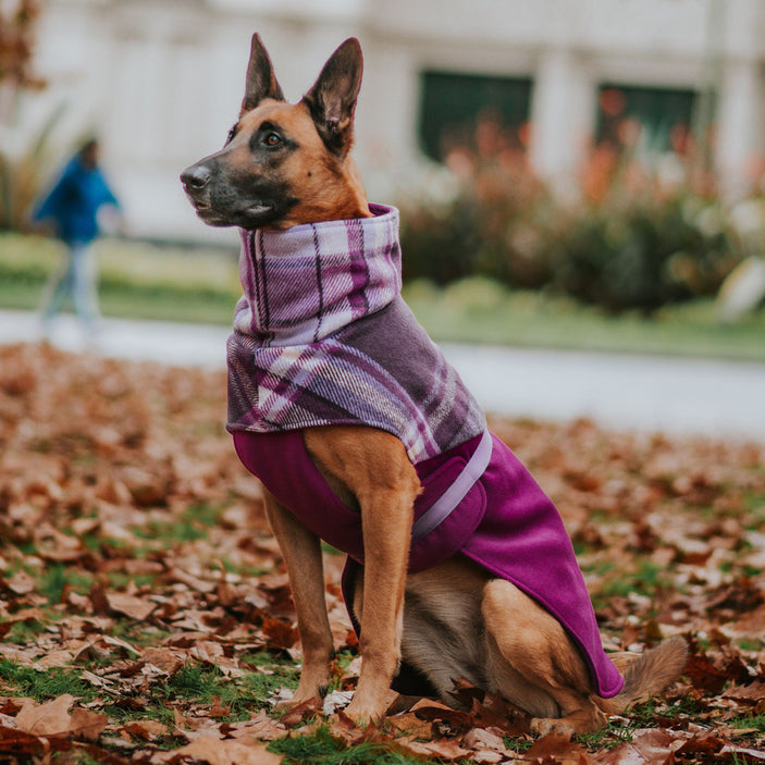 Berry Winter Coat