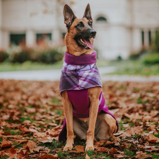 Berry Winter Coat (PRE-ORDER)