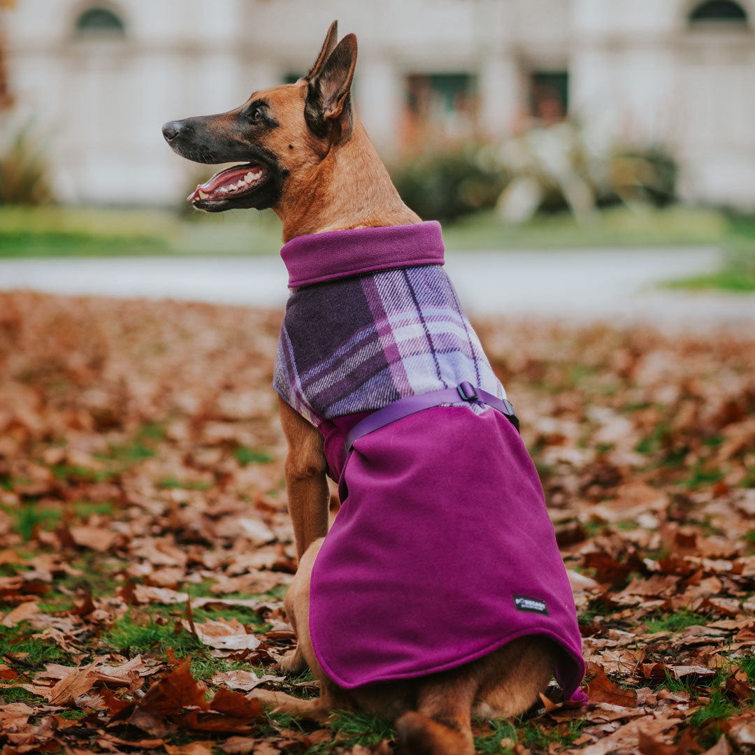 Berry Winter Coat (PRE-ORDER)