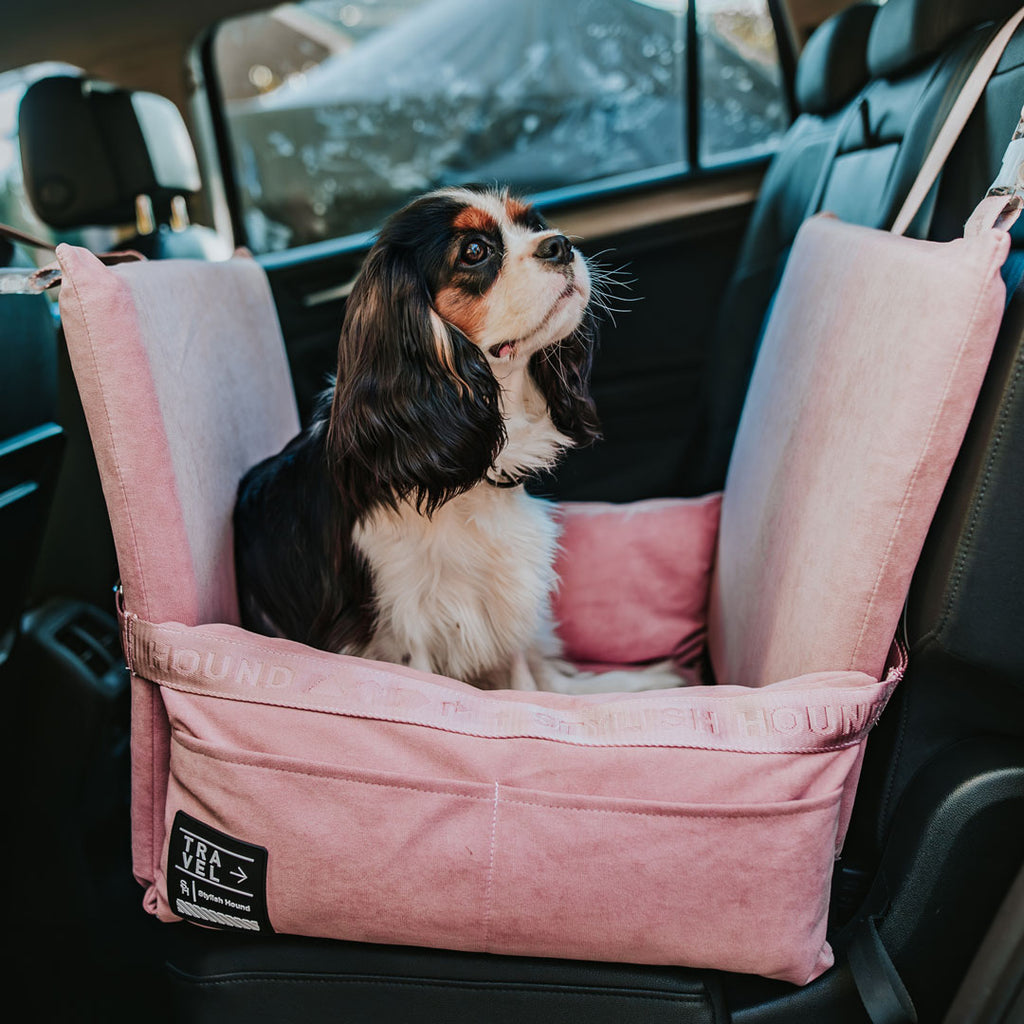 Car Seat and Travel Home Bundle - Plush