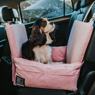 Car Seat and Travel Home Bundle - Plush