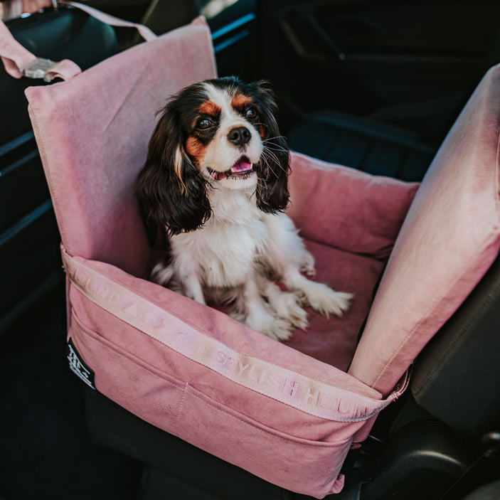 Car Seat and Travel Home Plush + Isofix Safety Belt