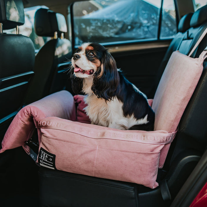 Car Seat and Travel Home Plush + Isofix Safety Belt