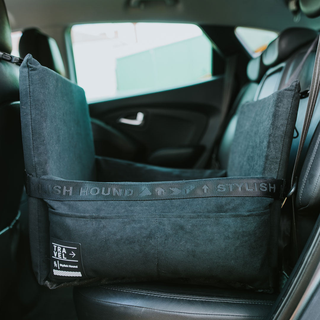 Car Seat and Travel Home