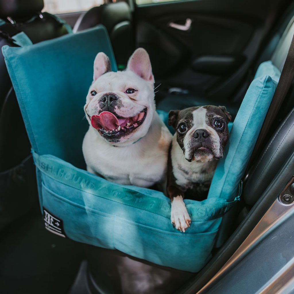 Car Seat and Travel Home Bundle - Teal