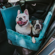 Car Seat and Travel Home Bundle - Teal