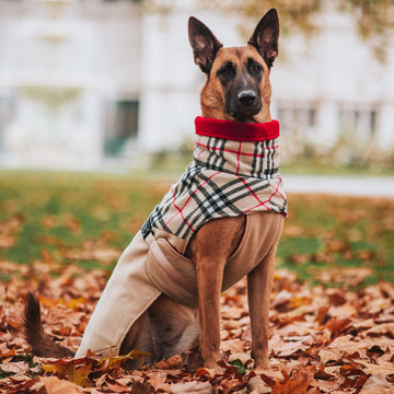Classic Tan Winter Coat