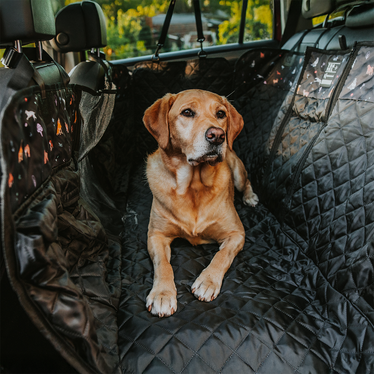 Back Seat Cover with Travel Bag