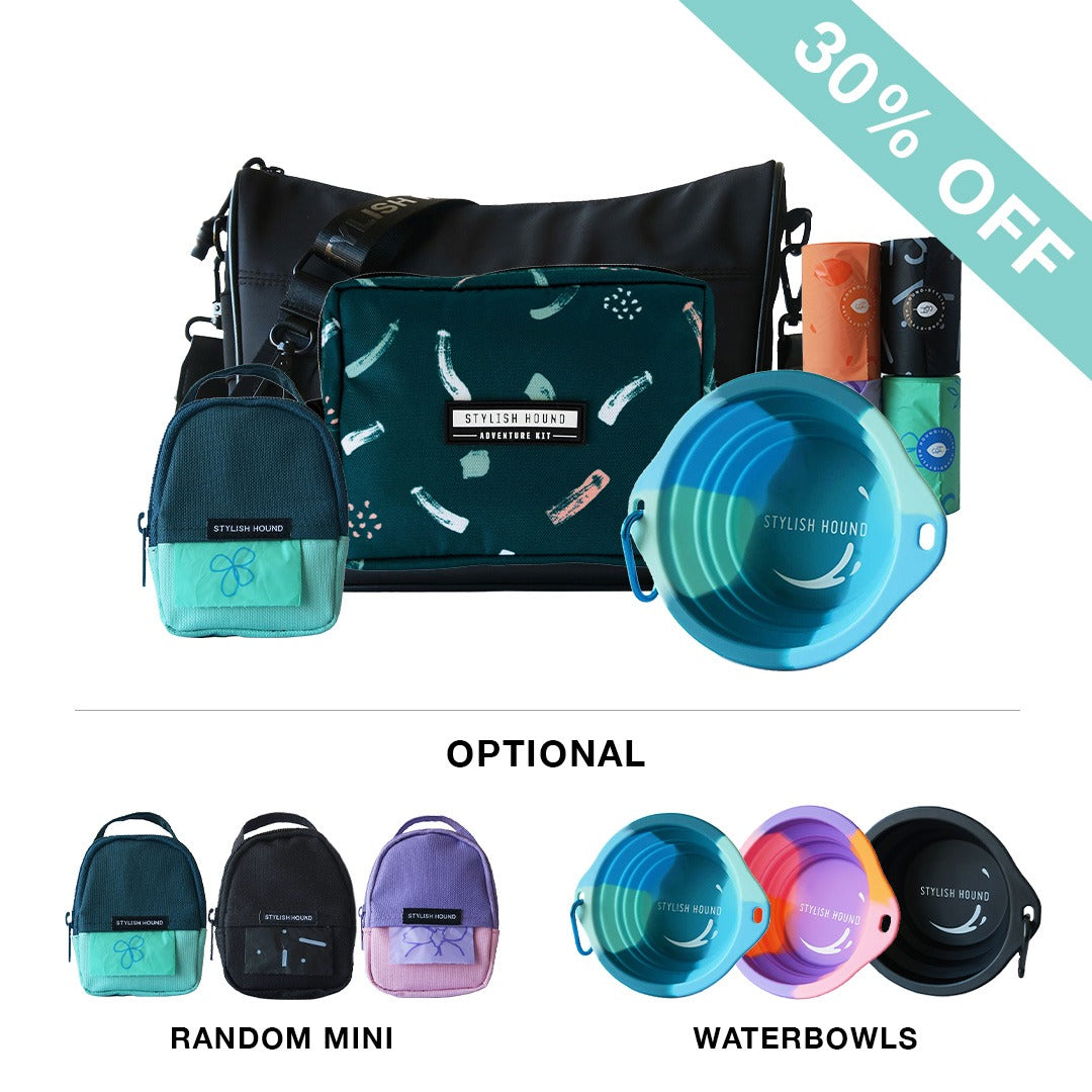 Black Day Tripper Bag + Express Pouch