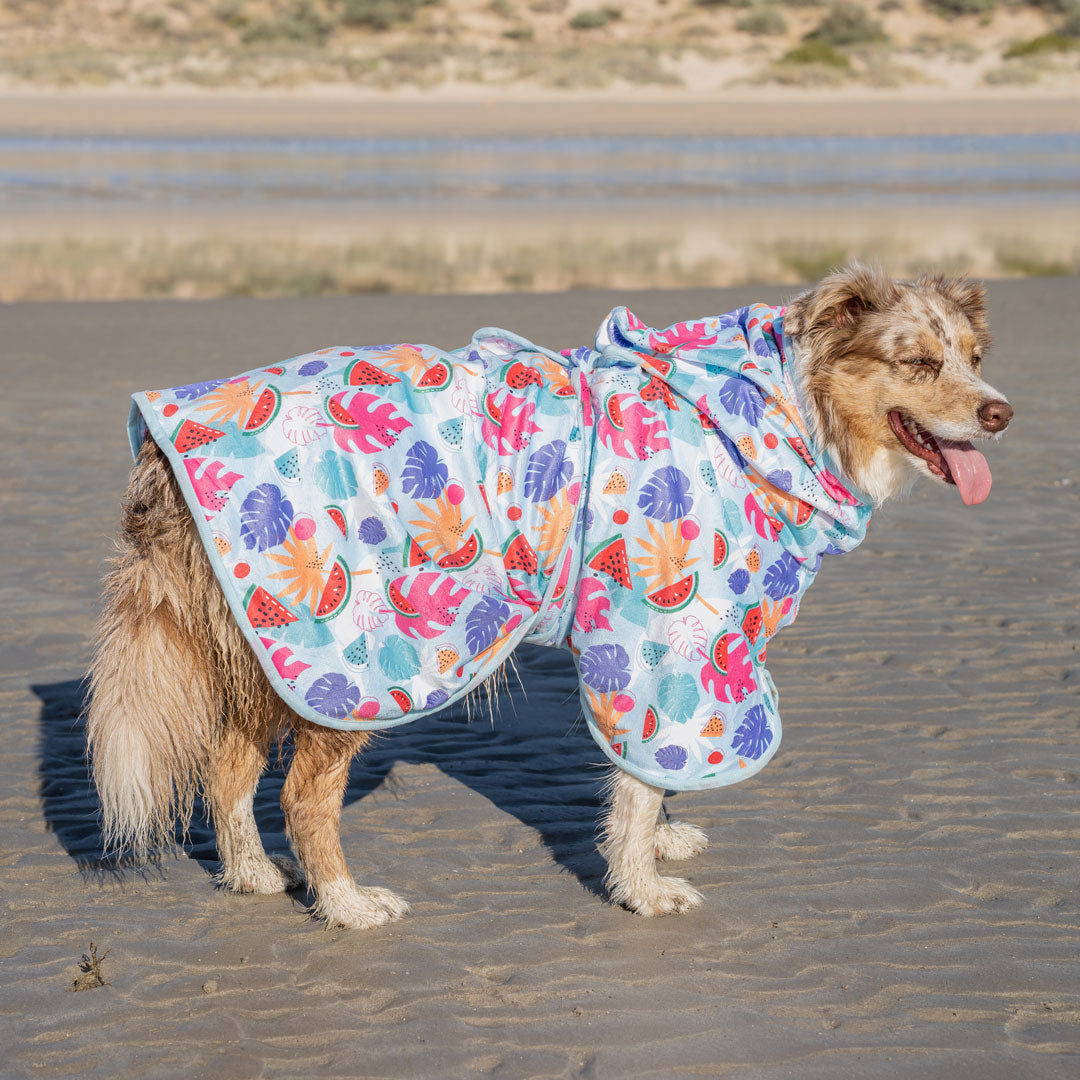 Miami Dog Robe - Miami