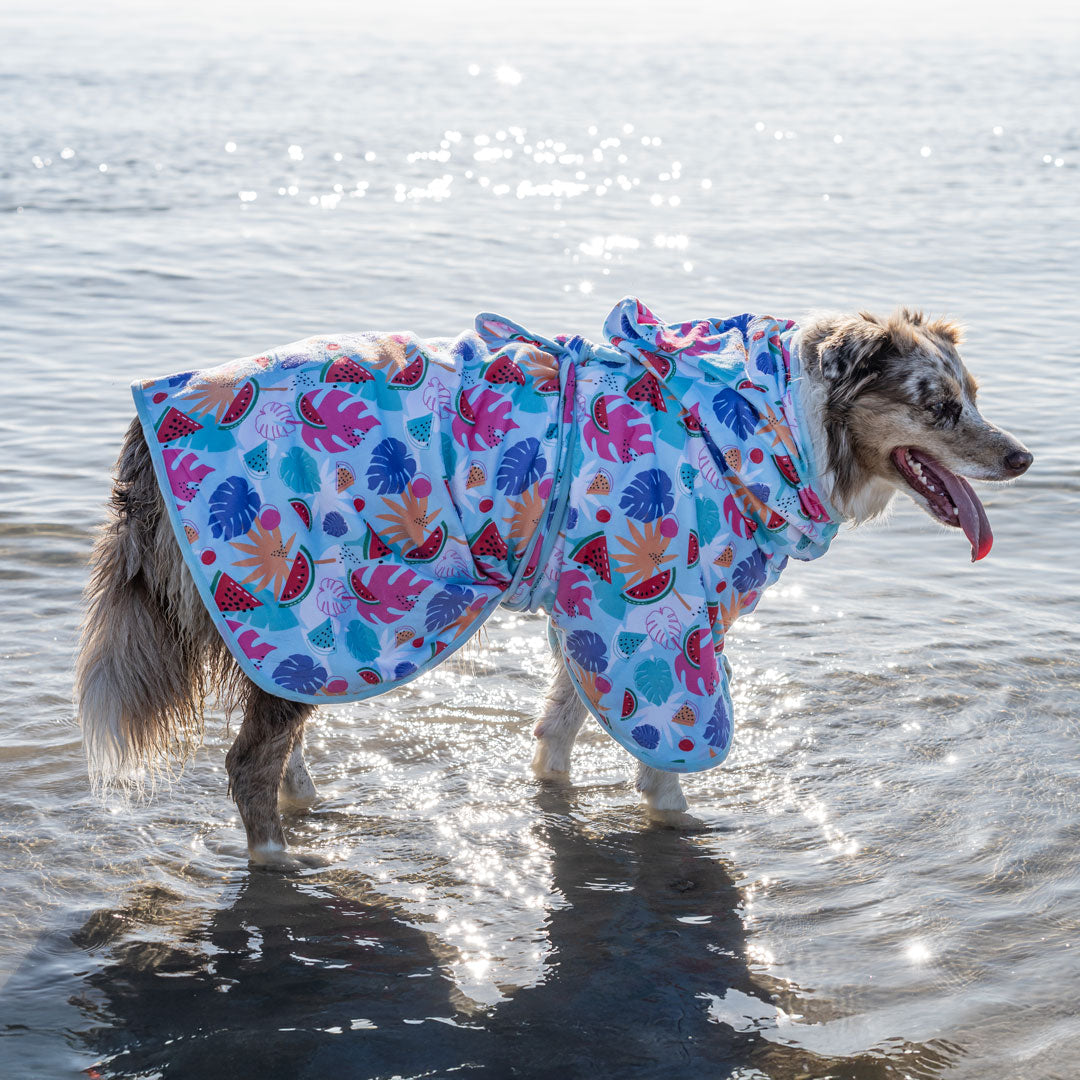 Miami Dog Robe - Miami