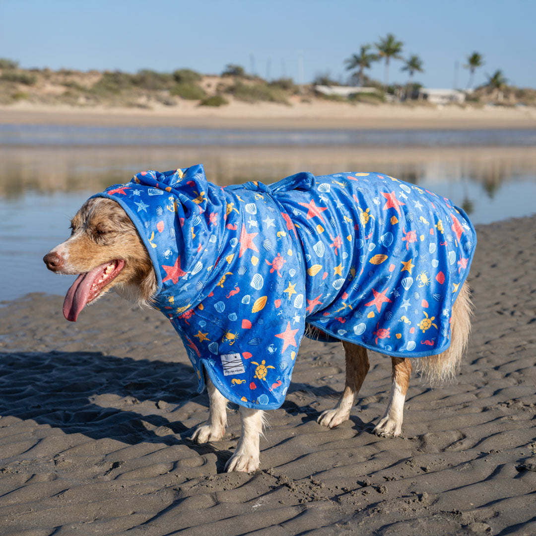 Rockpool Dog Robe - Rockpool