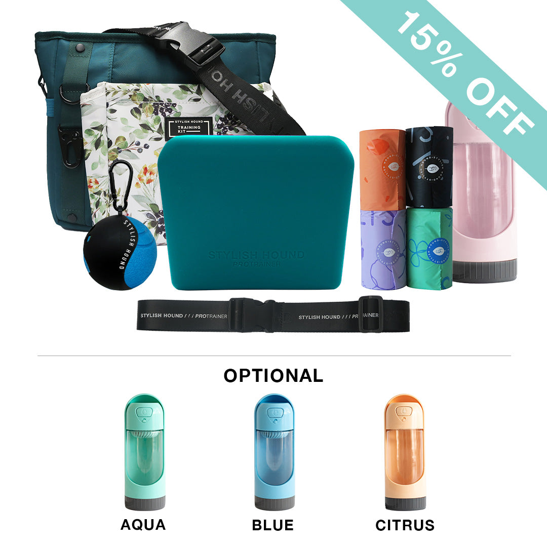 Elite Trainer Kit - Evergreen