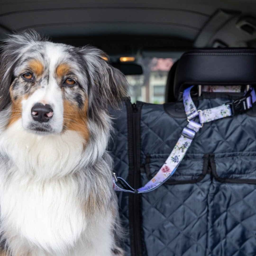 Car Boot Cover Bundle