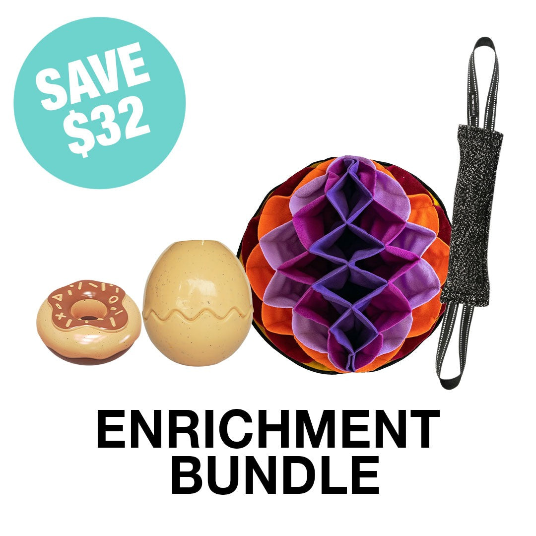 Enrichment Bundle