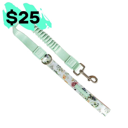 Evergreen CC Leash - Evergreen