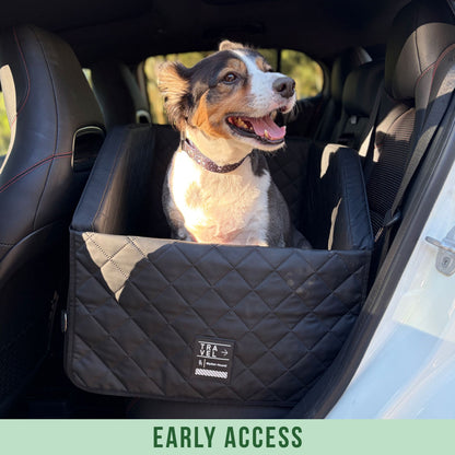 Dog Car Back Seat & Boot Seat